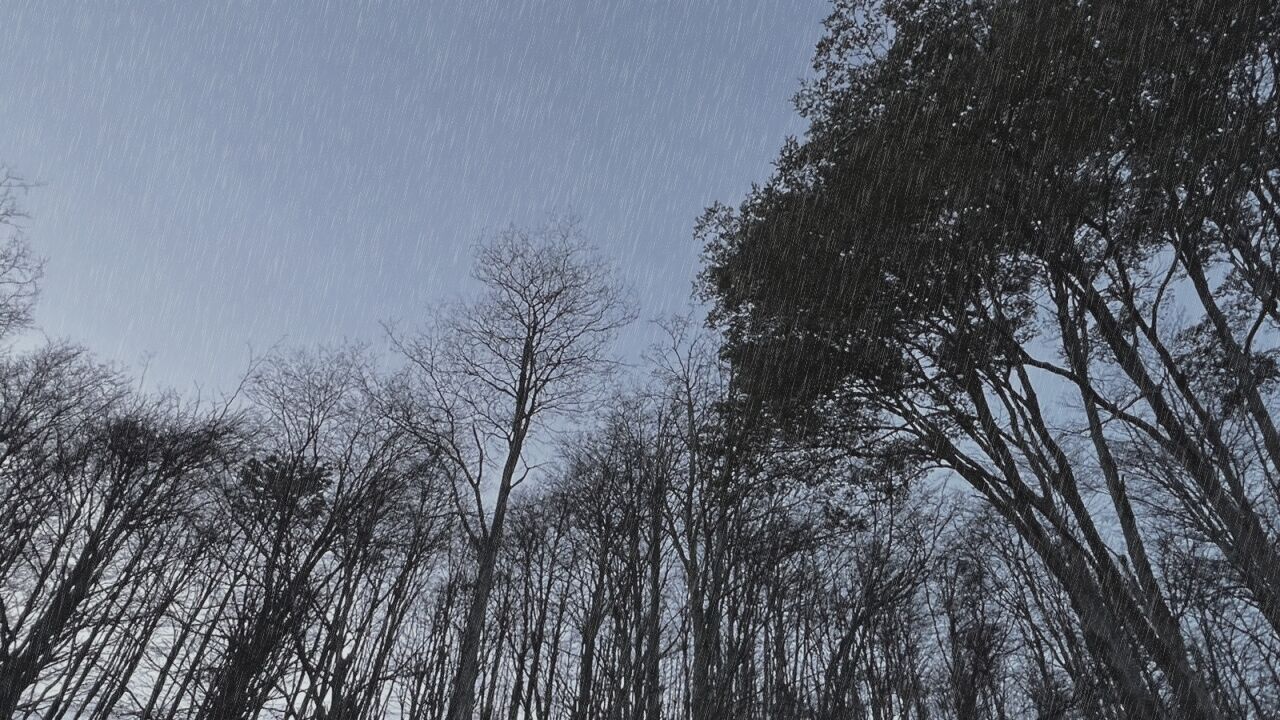 Continuarán las lluvias y nevadas en Ushuaia
