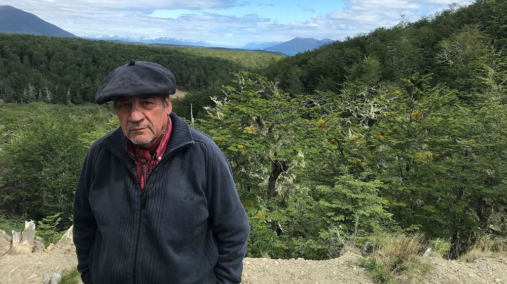 Adjudican cuatro lotes para reserva de los nativos fueguinos