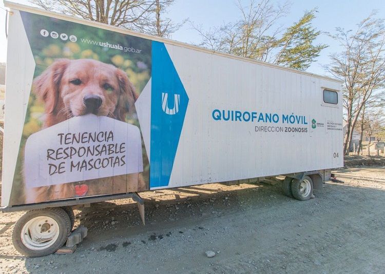 Llamado a la concientización y castraciones gratuitas de mascotas