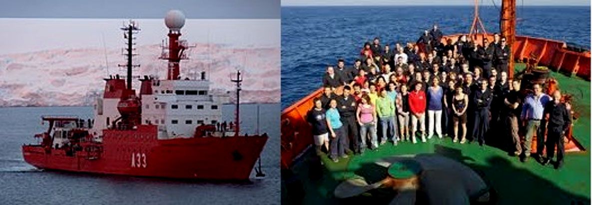 “Los océanos parecen haberse vaciado de grandes animales”  