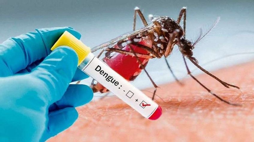 Tierra del Fuego registra 169 casos de dengue