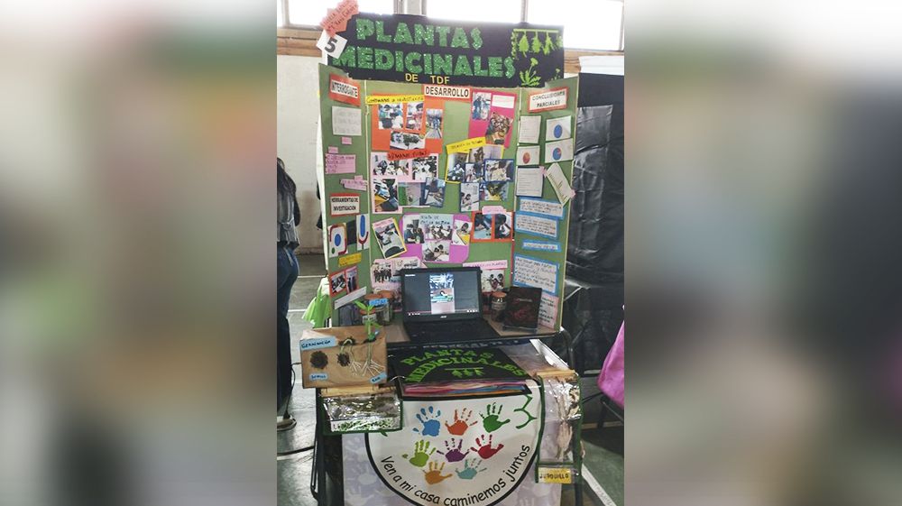 Kayú Chénèn expone sobre Plantas Medicinales 