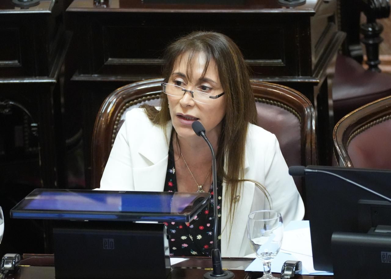 La senadora López pidió citar a la ministra Bullrich