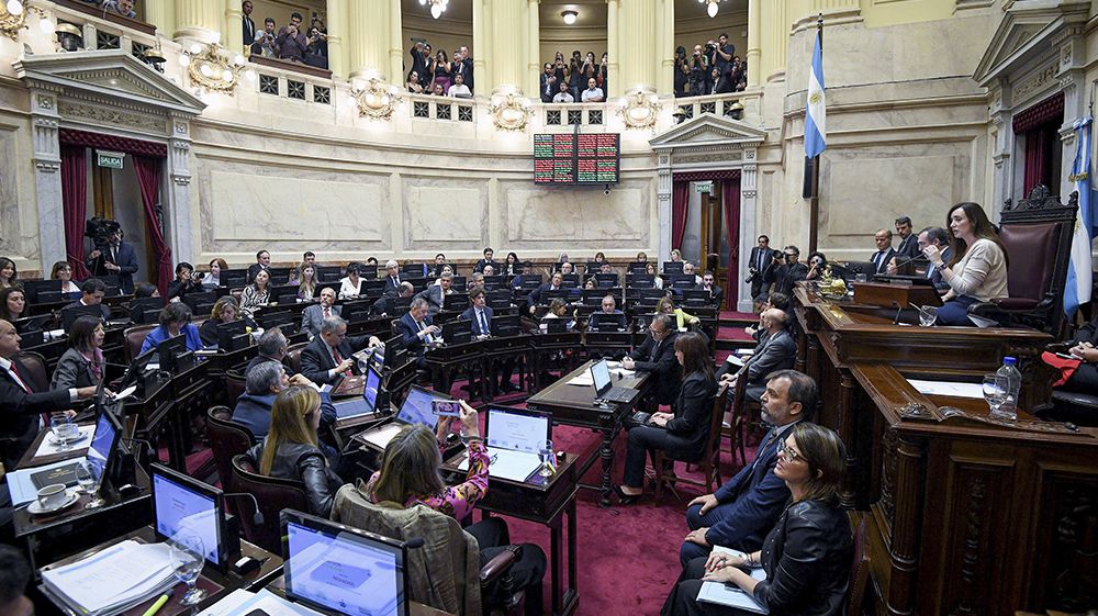 El Senado debate el aumento del presupuesto universitario
