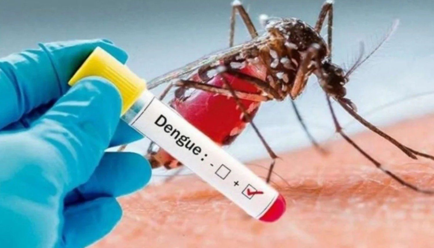 No hay casos de Dengue en Tierra del Fuego