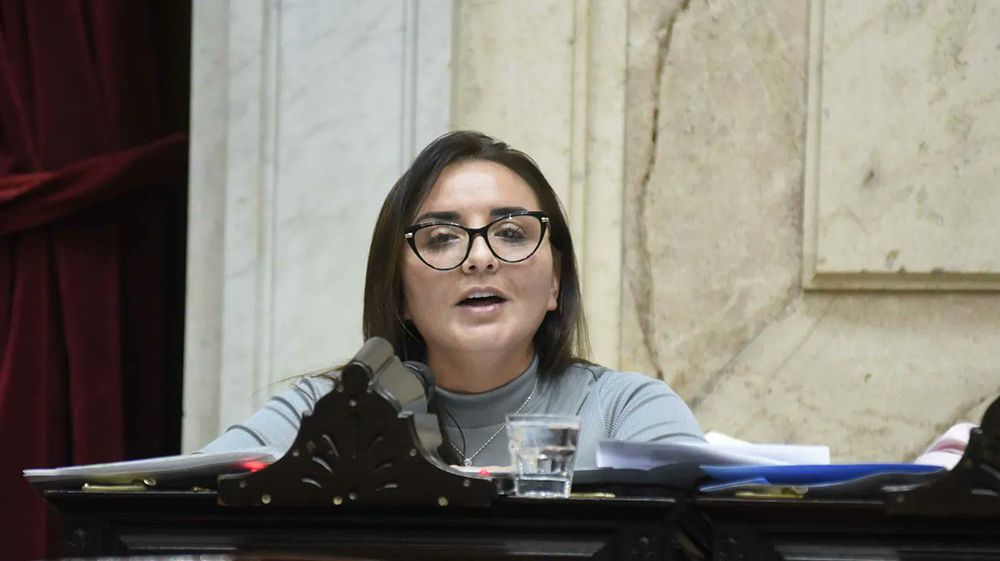 Freites: ¨El subrégimen fueguino estará contemplado en el presupuesto¨