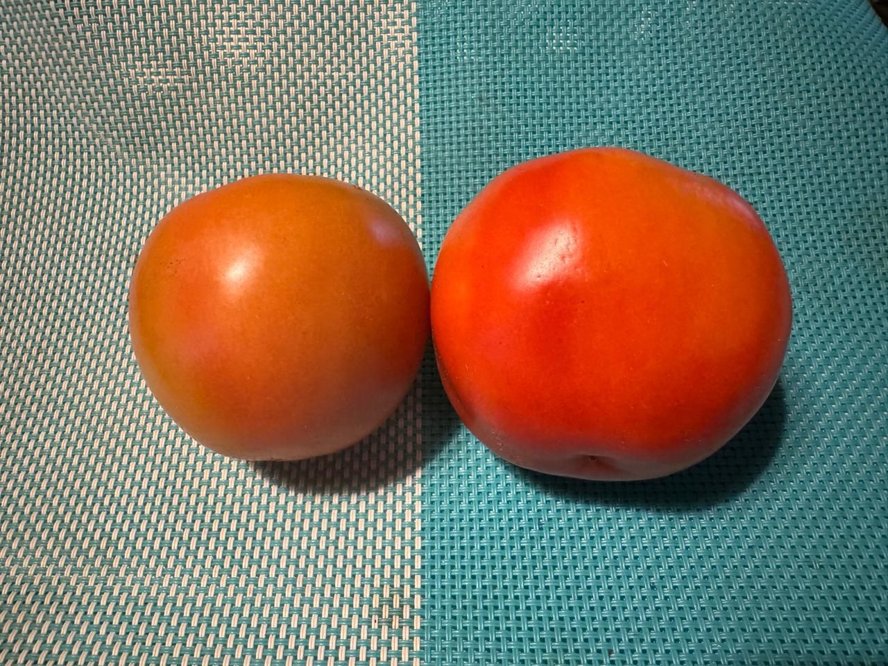 Somos lo que comemos