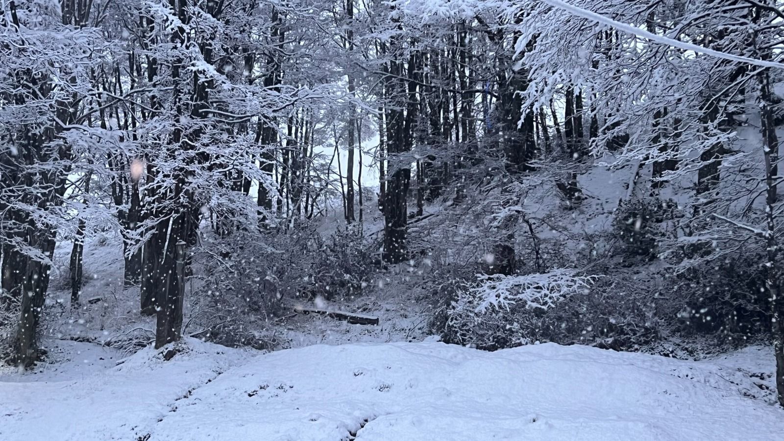 Volvió el frío y la nieve Ushuaia 