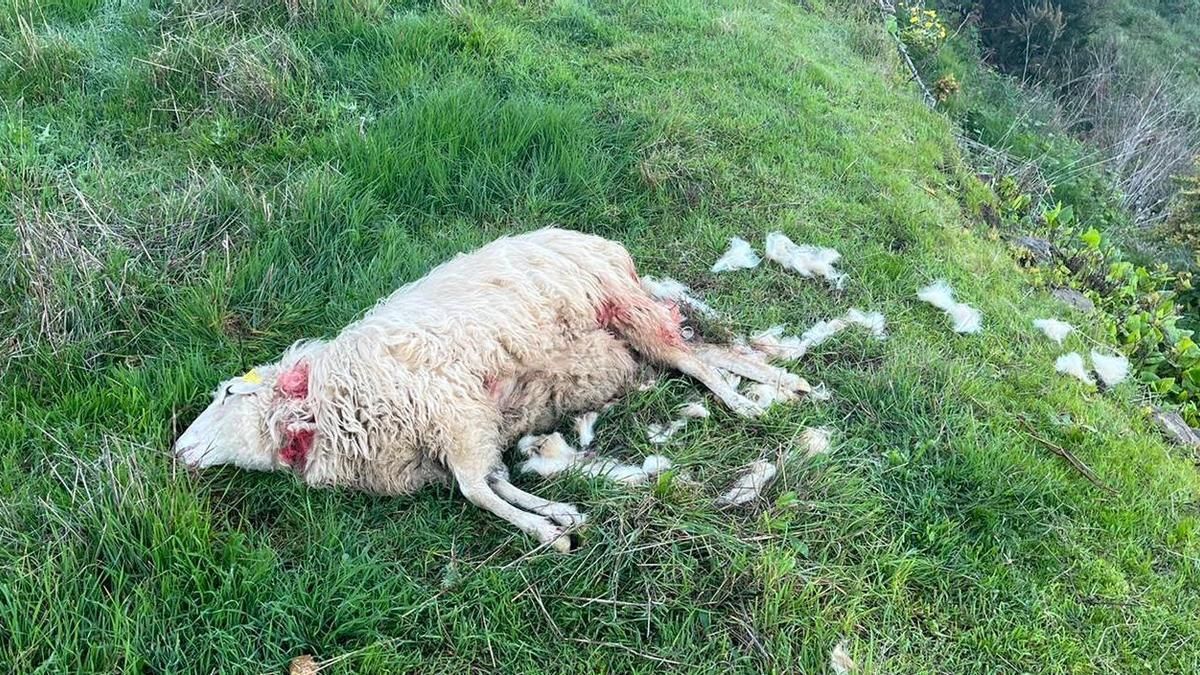 Estancias obligadas a cambiar su matriz productiva