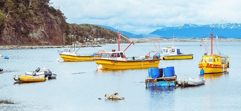 Curso de actualización para pescador y acuicultor artesanal