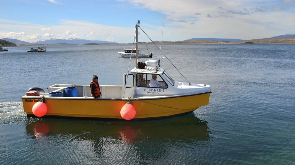 La Cooperativa “Marítima Pesquera” inició sus actividades