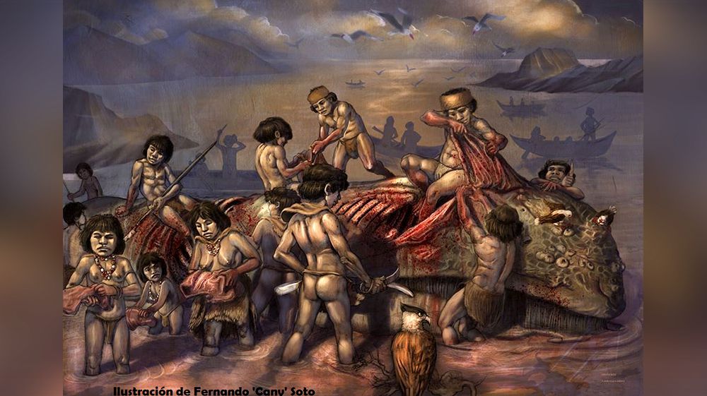 Anglicanos subestiman hábitos alimenticios de los canoeros