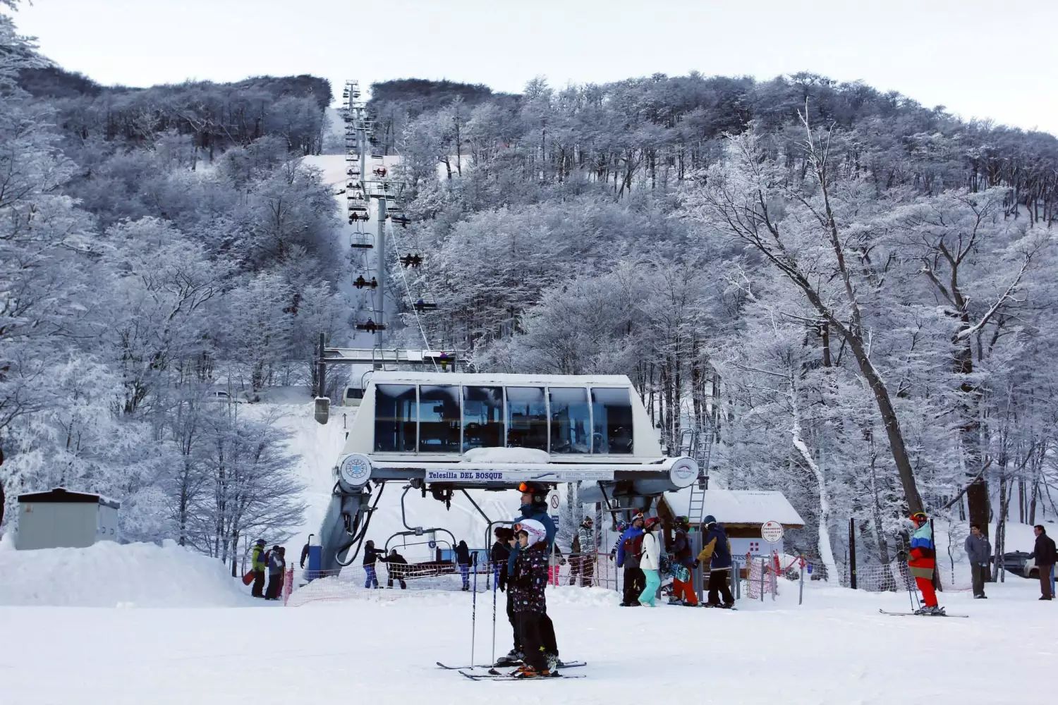 El turismo cayó 11,8% interanual