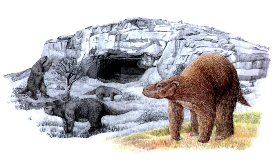 Un comerciante exhibe su hallazgo de restos de un milodón 