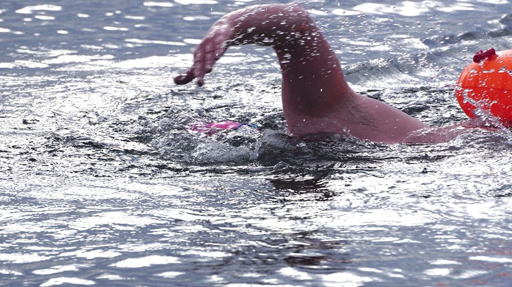 Cuatro nadadores cruzaron el Canal Beagle