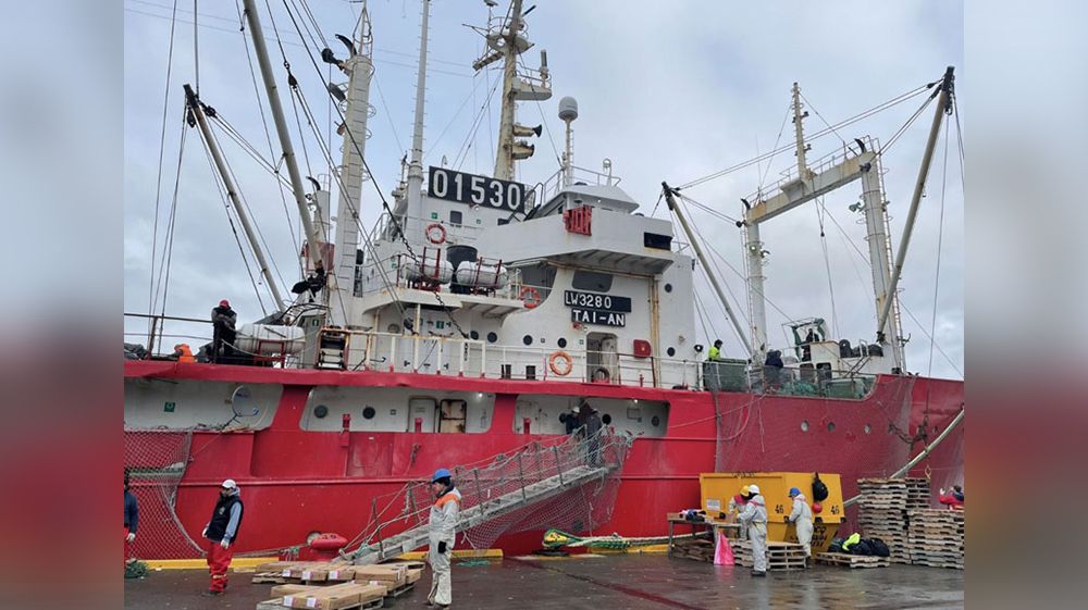 Prodesur logró volumen adicional de merluza de cola