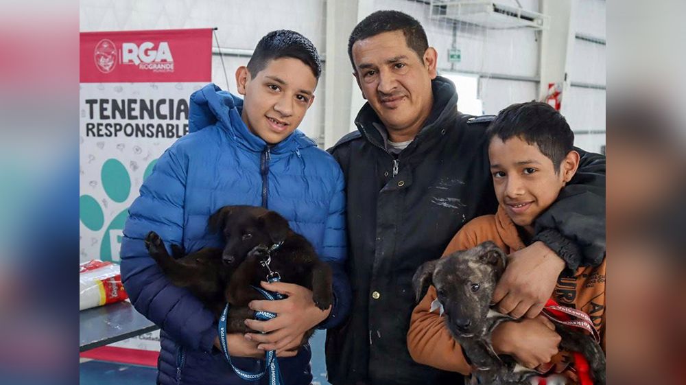 Nuevo portal web para adopción responsable de mascotas