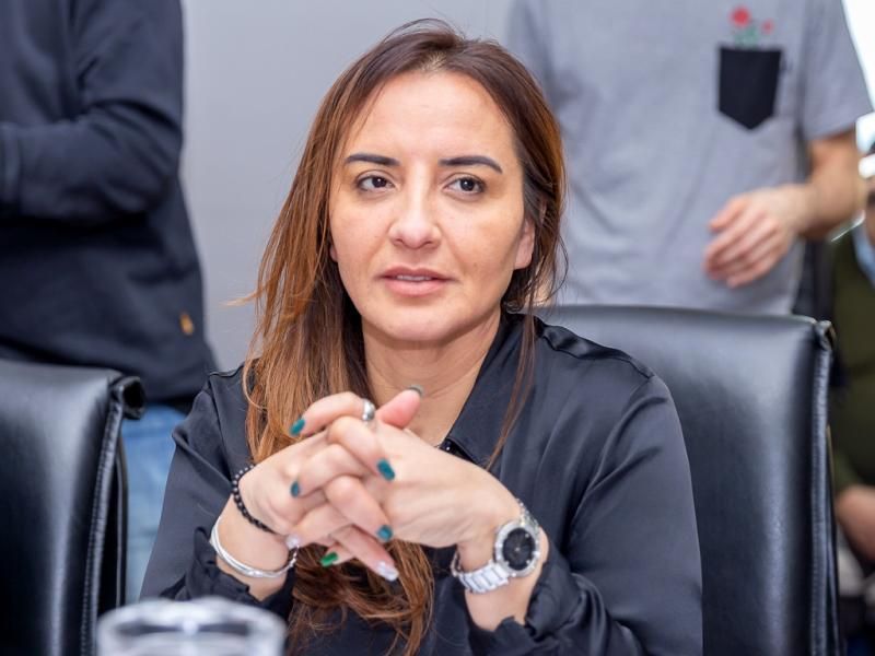 Freites explicó su rechazo a ¨Ficha Limpia¨