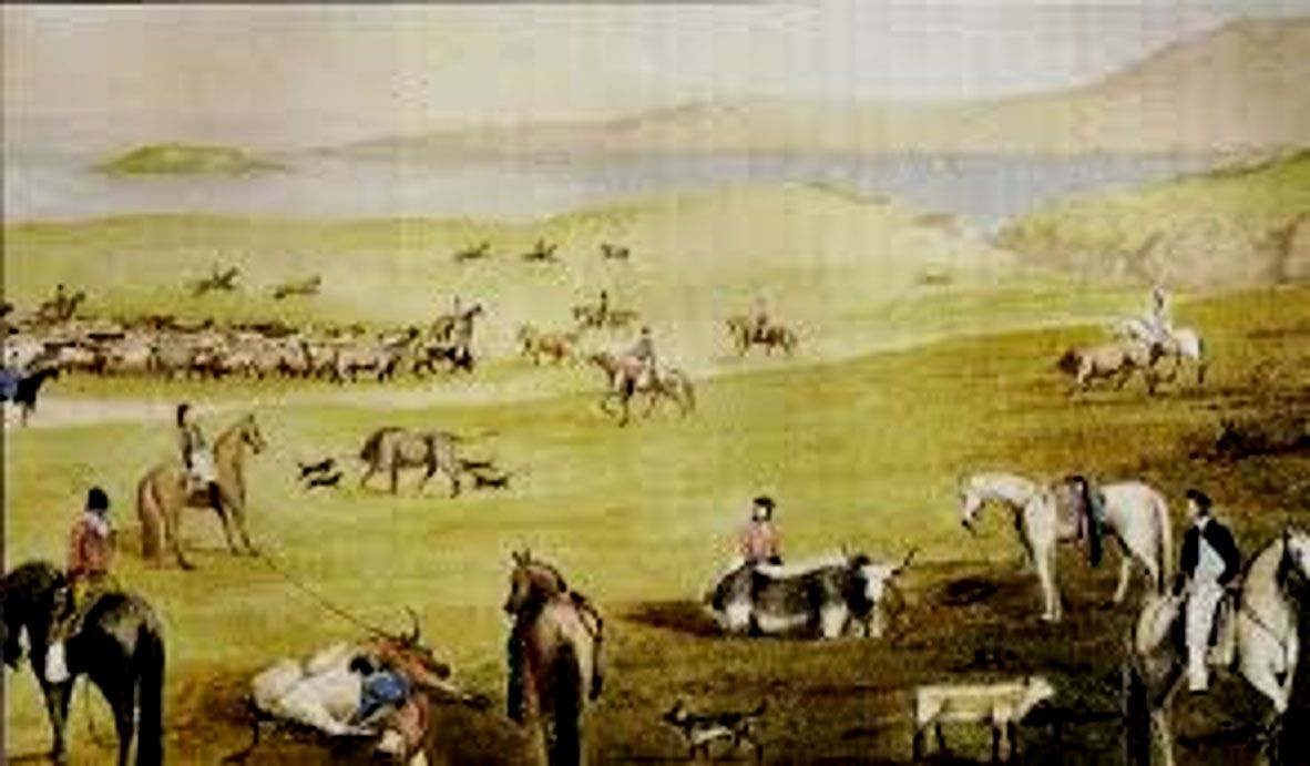 Llega el primer gobernador británico de las islas Malvinas