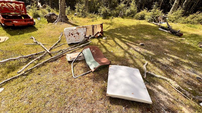 Basta de basura en el bosque (¿cómo hay que decirlo?)