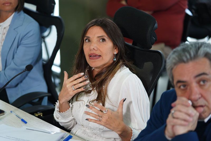 Manfredotti: “No tiene razonabilidad oponerse a la tasa al turismo”