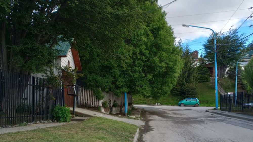 Tomó el control urbano la agrupación ¨Anarquía Verde¨