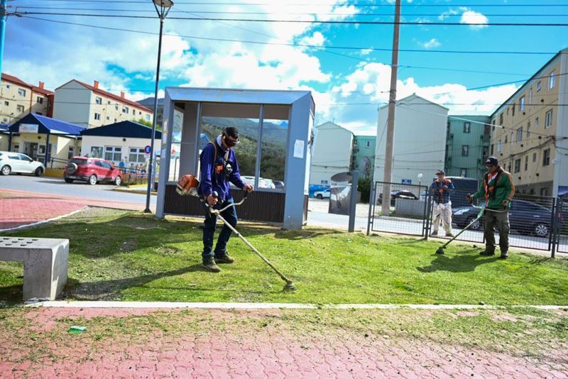 Medio Ambiente municipal realizó una nueva jornada de limpieza