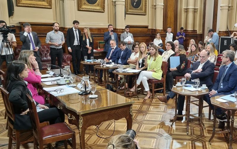 El Senado debatirá el miércoles la suspensión de las PASO