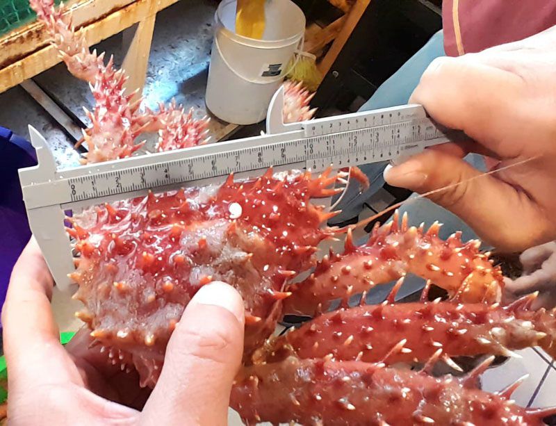 Decomisaron centolla de restaurante de Ushuaia 