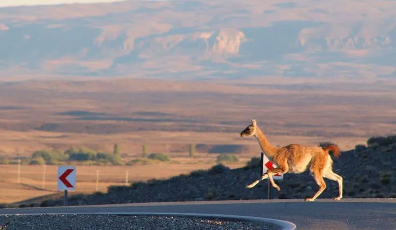 “Hay que reflexionar sobre la velocidad a la que andamos”, sostuvo Schiavini