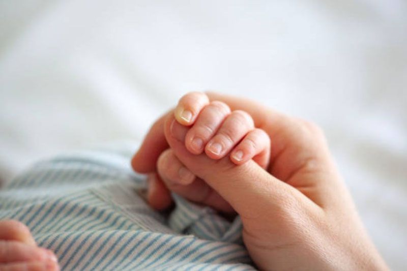 Marcado descenso de embarazos adolescentes 