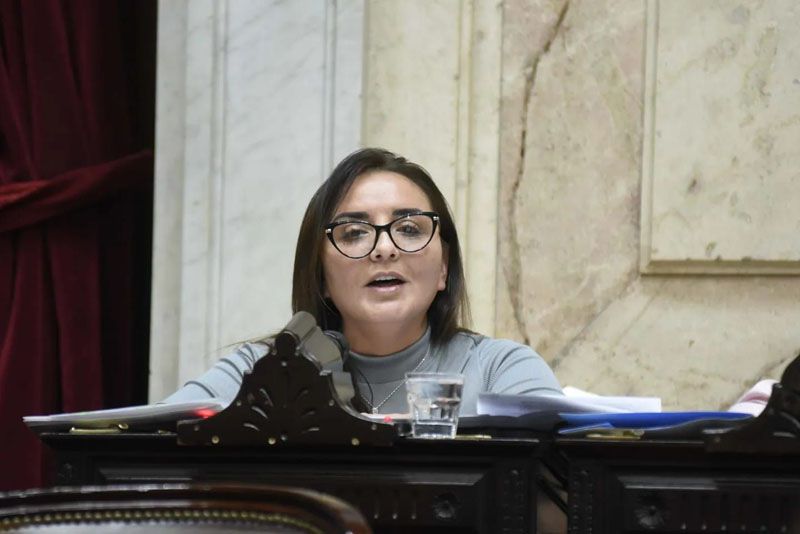 “Todos los pasajes se entregan a los fueguinos”