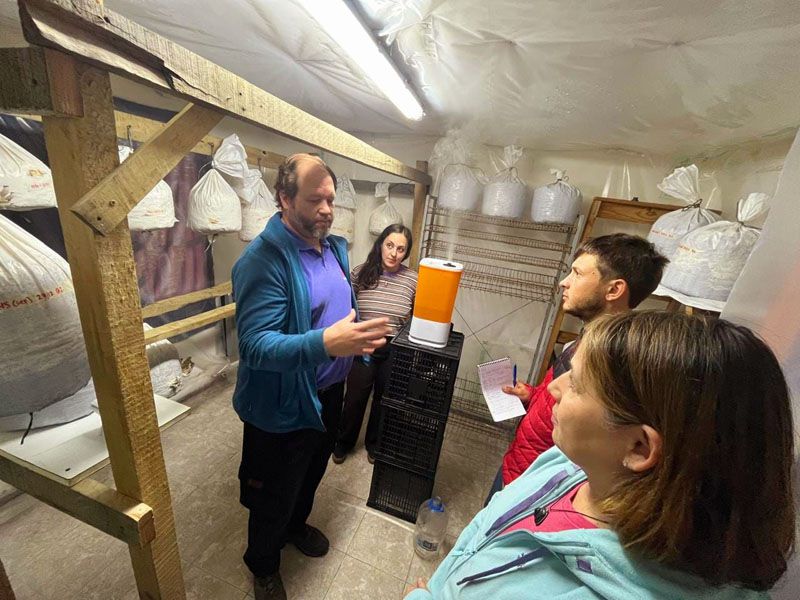 Avanzan ensayos de hongos cultivados en troncos de lenga