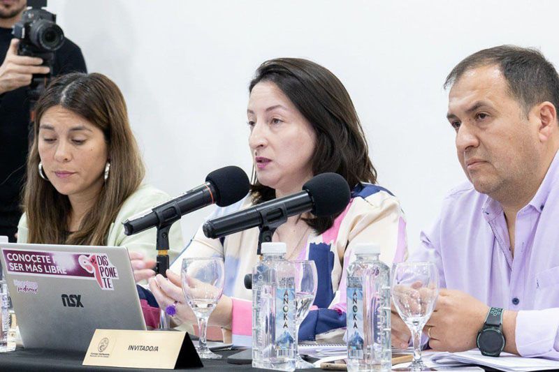 Ybars destacó la puesta en valor del rol de la mujer