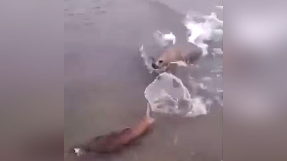 Pescador sin permiso de pesca