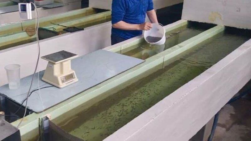 Centro de Desarrollo Pesquero y Acuícola 