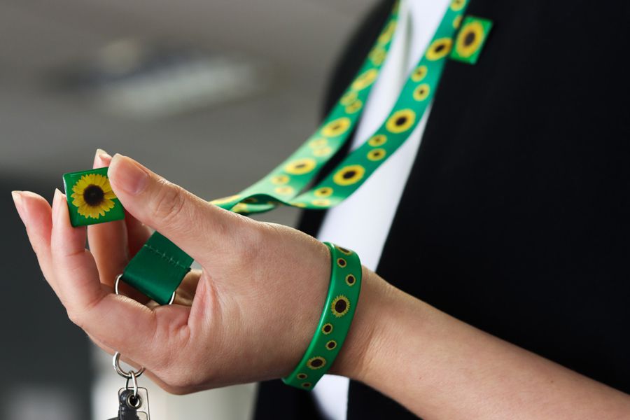 Buscan implementar el ‘Cordón de Girasoles’