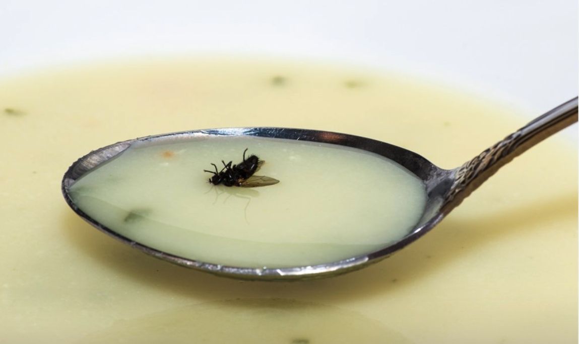 Hay una sopa en mi mosca