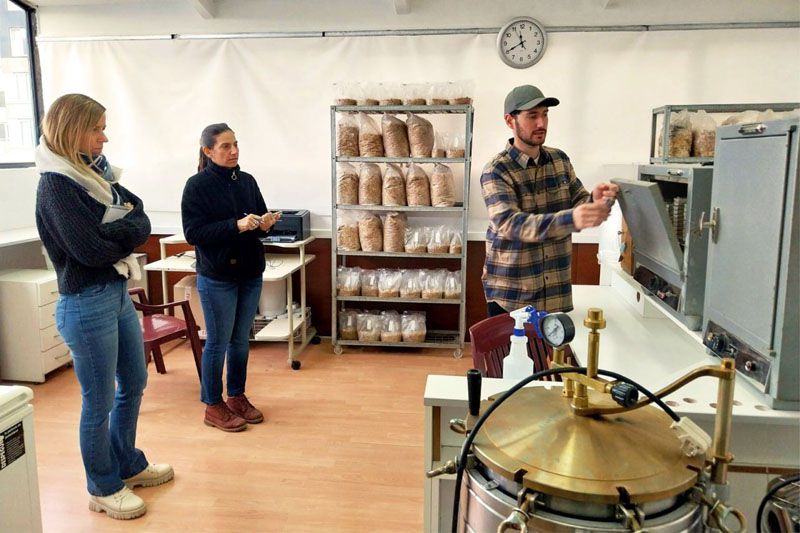 Programa de reducción de desperdicios de alimentos 