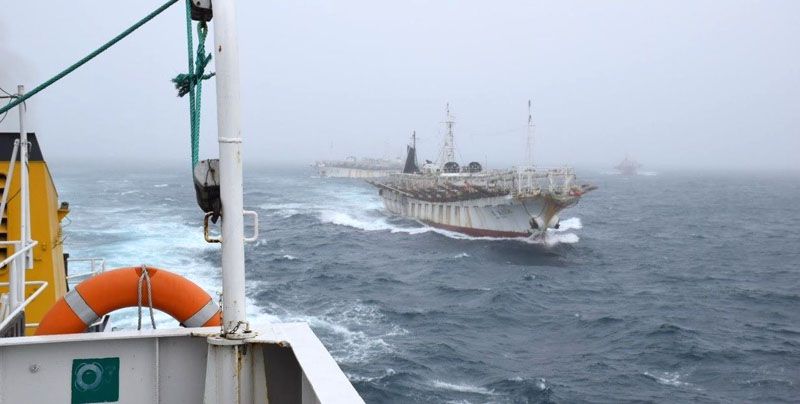 España se beneficia de la pesca ilegal en el Atlántico Sur