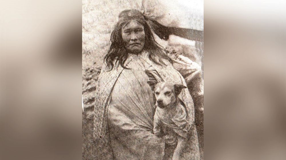 Prensa de EEUU destaca a los perros “sagrados” de tehuelches 