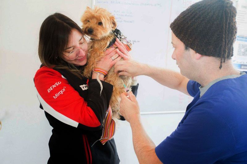 ‘Zoonosis más Cerca’ estuvo presente en el barrio Río Pipo