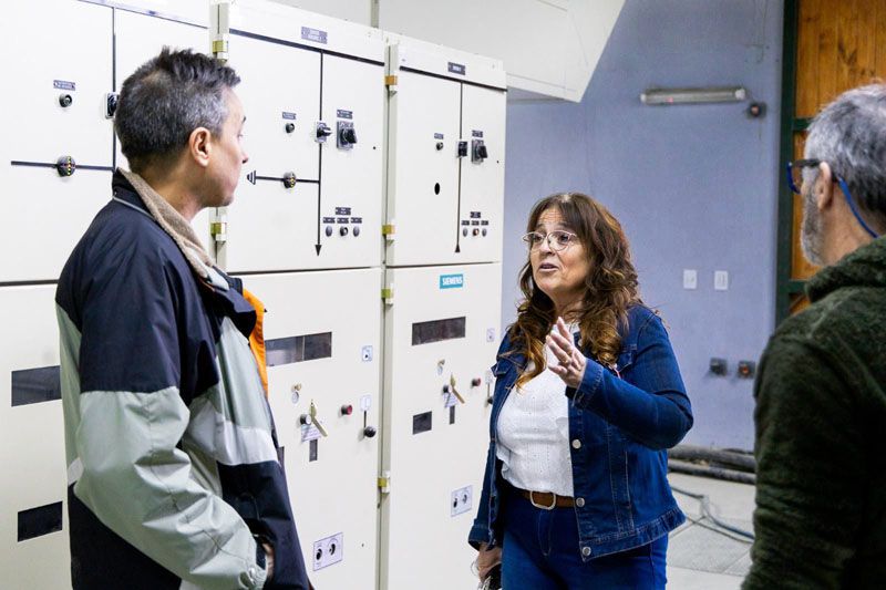 Castillo dio detalles de las inversiones en el parque energético 