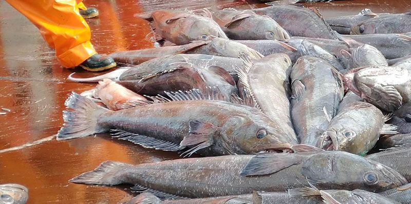 Convenio para el control de la actividad pesquera