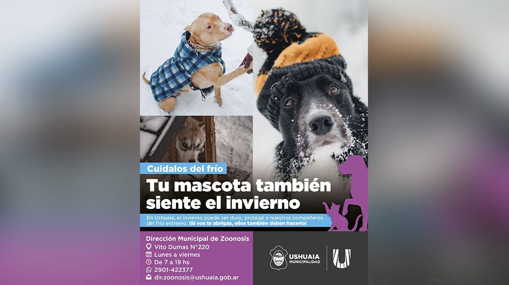 Zoonosis recuerda la importancia de resguardar a las mascotas del frío