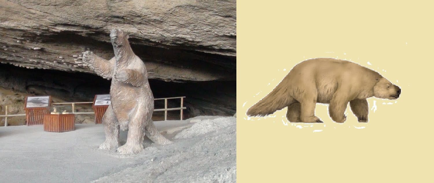 Desmienten hallazgo de esqueleto completo de un milodón