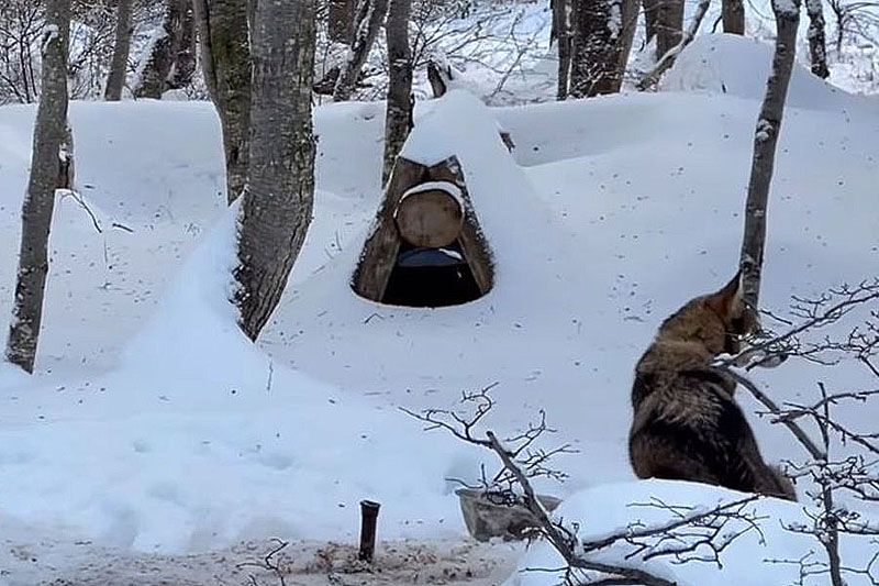 Denuncian abandono de perros