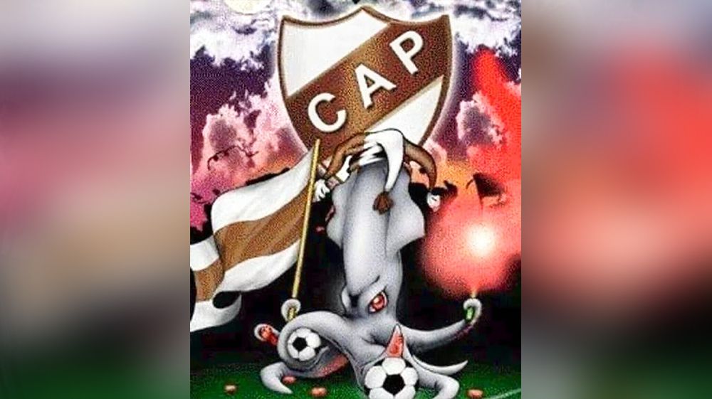 ¡Apareció un Calamar gigante!