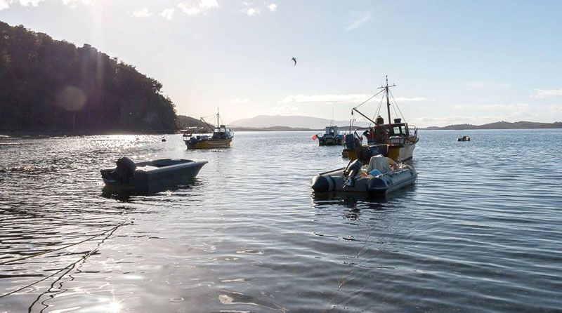 Más financiamiento para proyectos de PyMES fueguinas 