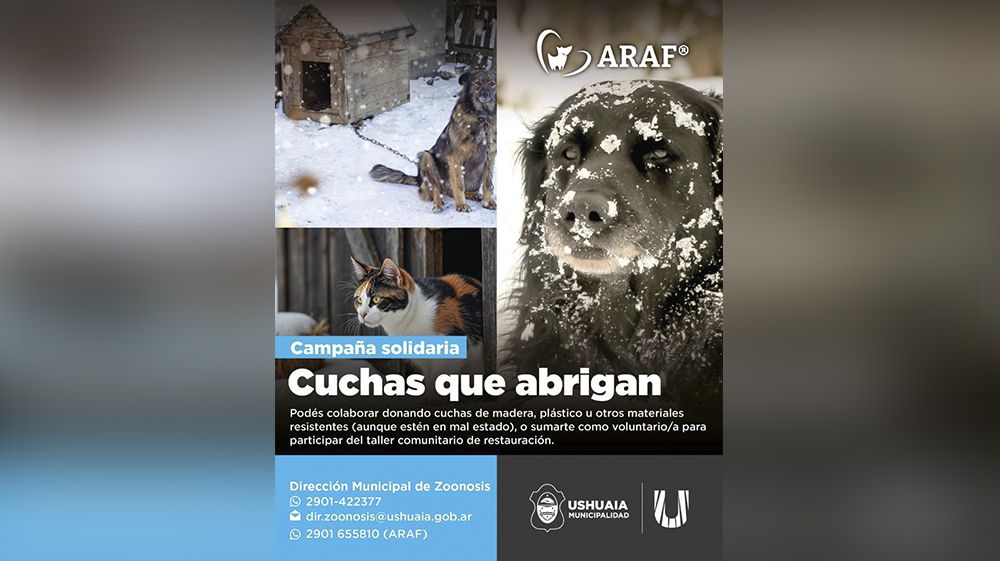 Zoonosis lanzó la campaña ‘Un Hogar para Cada Patita’